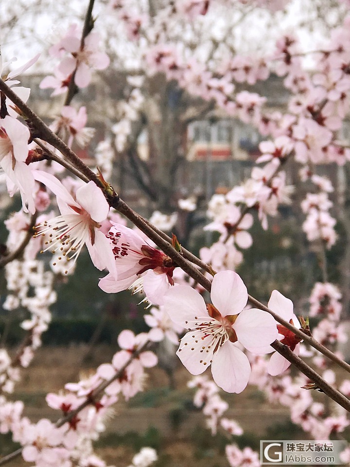 溜溜哒哒 今天去医院复查_花闲聊