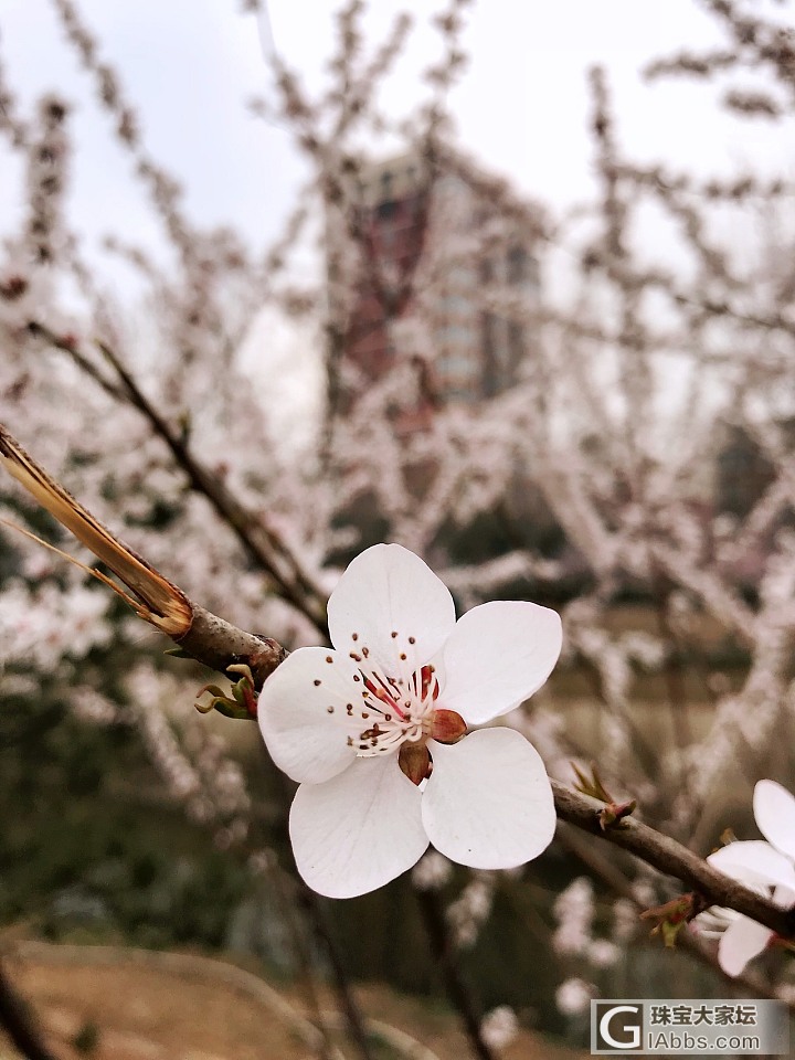 溜溜哒哒 今天去医院复查_花闲聊