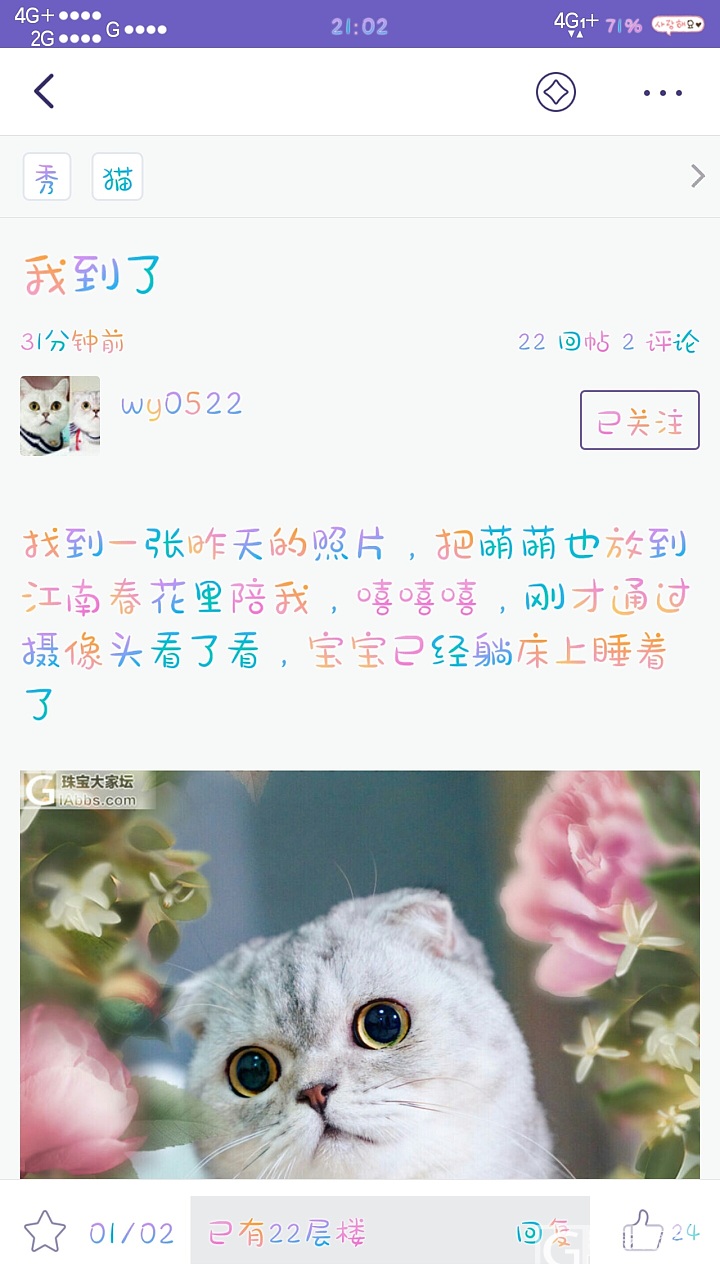 抱歉，该主题仅楼主自己可见_猫