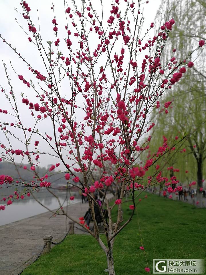 杭州最好的季节来了_景色杭州旅游