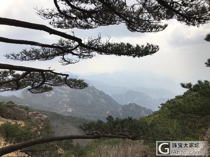 黄山风景区 漂亮_景色黄山旅游