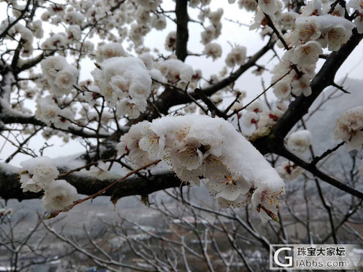 绝对刺激_植物