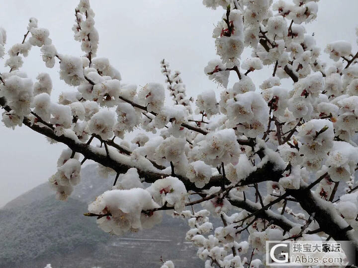 绝对刺激_植物