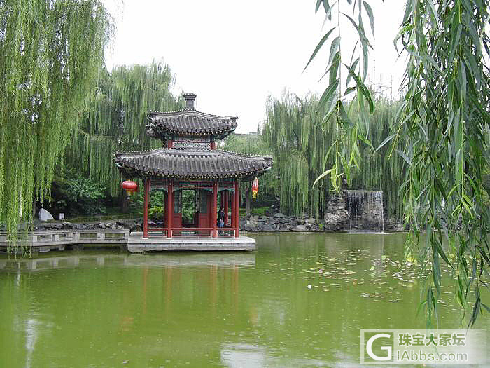 清明时节雨声哗 一诗一画皆风景！_花景色