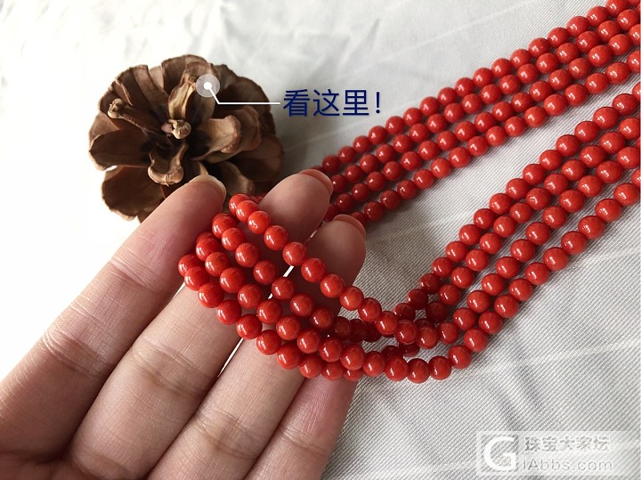 文玩标配道具之☞松果_珠串珊瑚