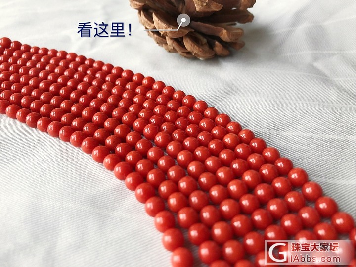文玩标配道具之☞松果_珠串珊瑚