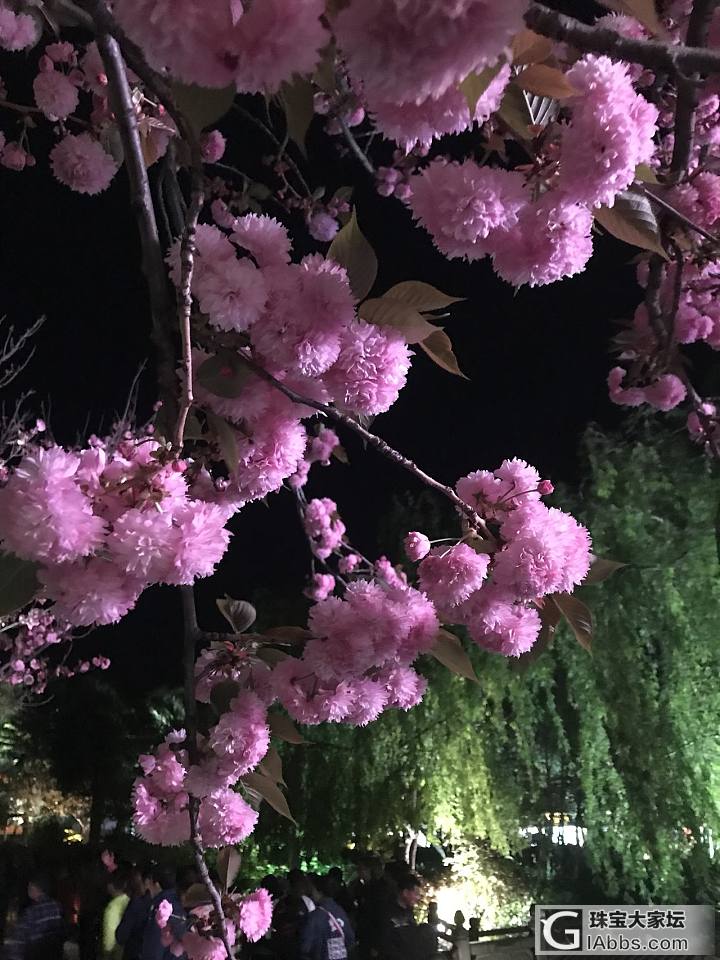 丽江古城夜景🌃_景色丽江旅游