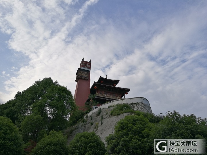 抓住春天的尾巴晒花花_花旅游