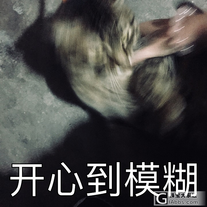 好久不见的狗子_猫狗