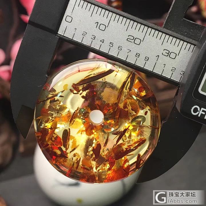 闲谈  欣赏这一朵平安花扣_平安扣植物珀
