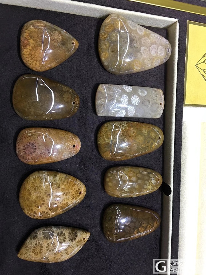 珊瑚玉_挂件珊瑚玉
