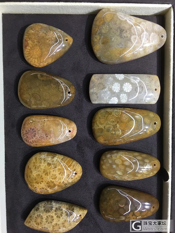 珊瑚玉_挂件珊瑚玉