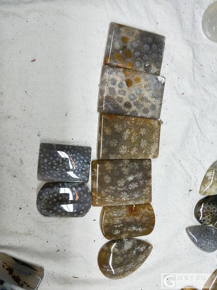 厂家直销_珊瑚玉