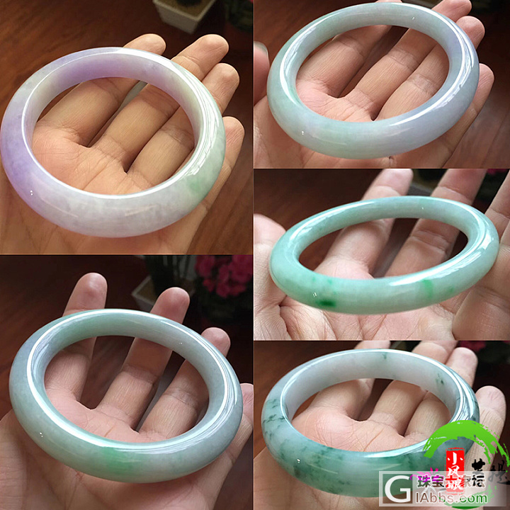 【4.24.2】天然老坑翡翠A货春彩圆镯 飘花圆镯 特别美好 温婉大方_翡翠手镯