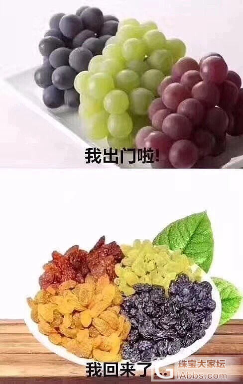 今天好热_狗