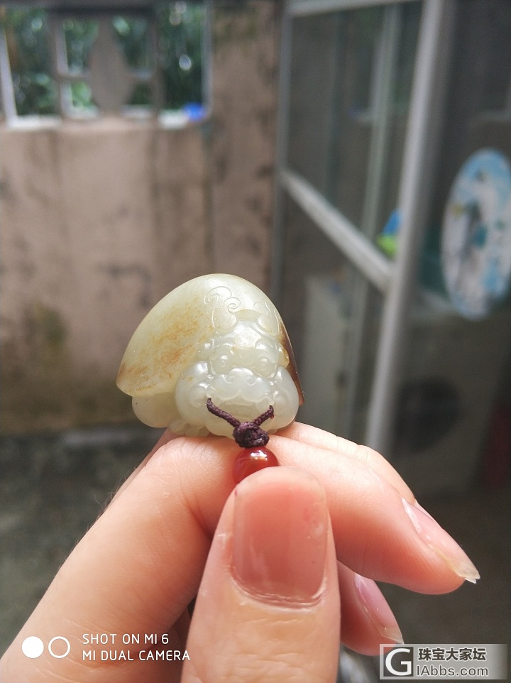 萌萌的带皮高背龙龟_挂件和田玉