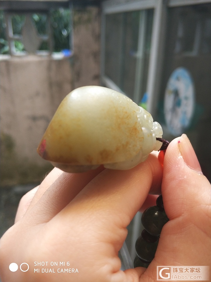 萌萌的带皮高背龙龟_挂件和田玉