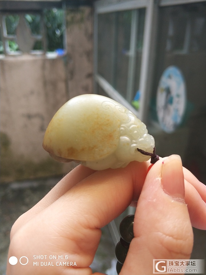 萌萌的带皮高背龙龟_挂件和田玉
