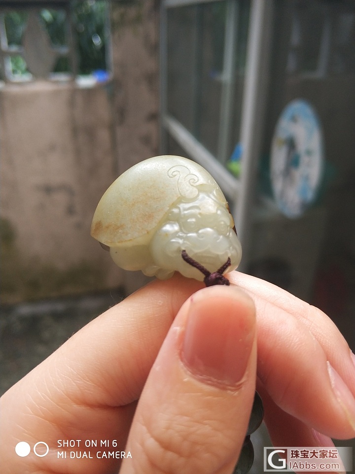 萌萌的带皮高背龙龟_挂件和田玉