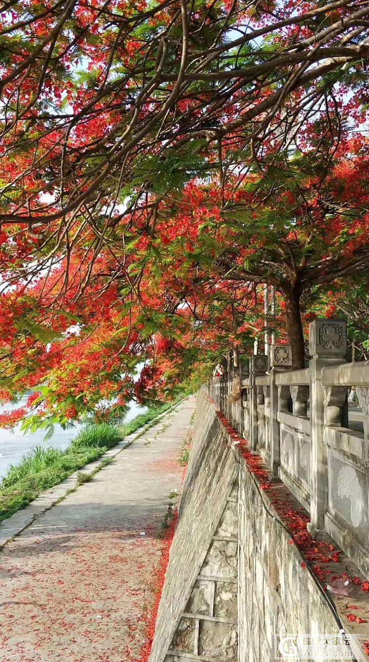 碧云天，落红地，芳草有情盼吾归_景色