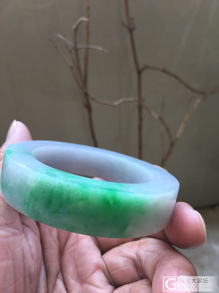 这个底色有点特别_手镯翡翠
