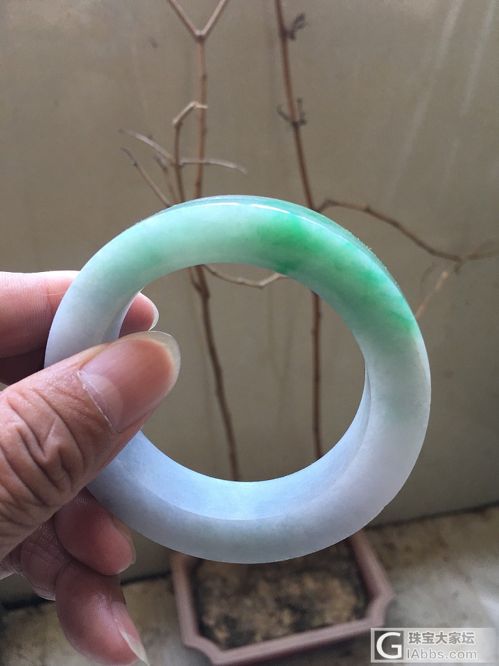 这个底色有点特别_手镯翡翠