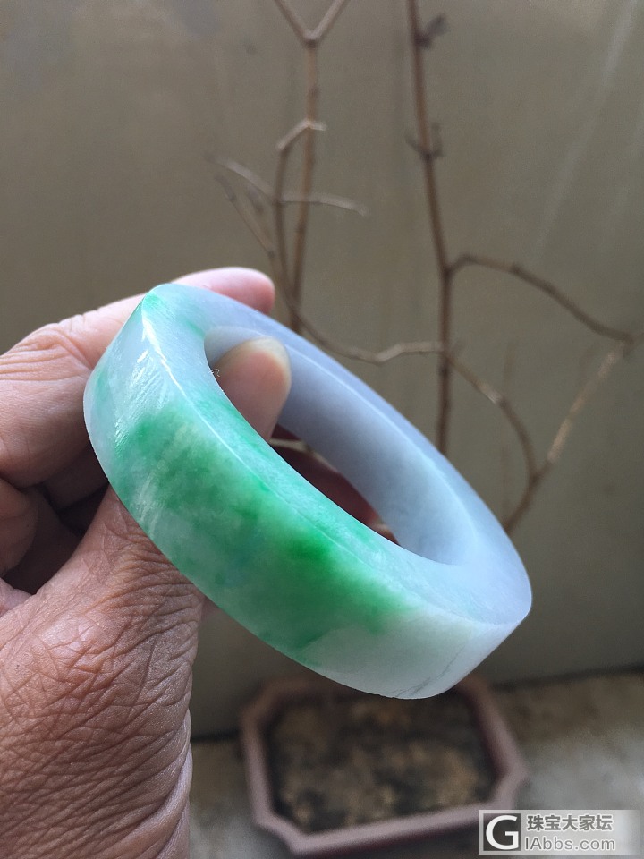 这个底色有点特别_手镯翡翠