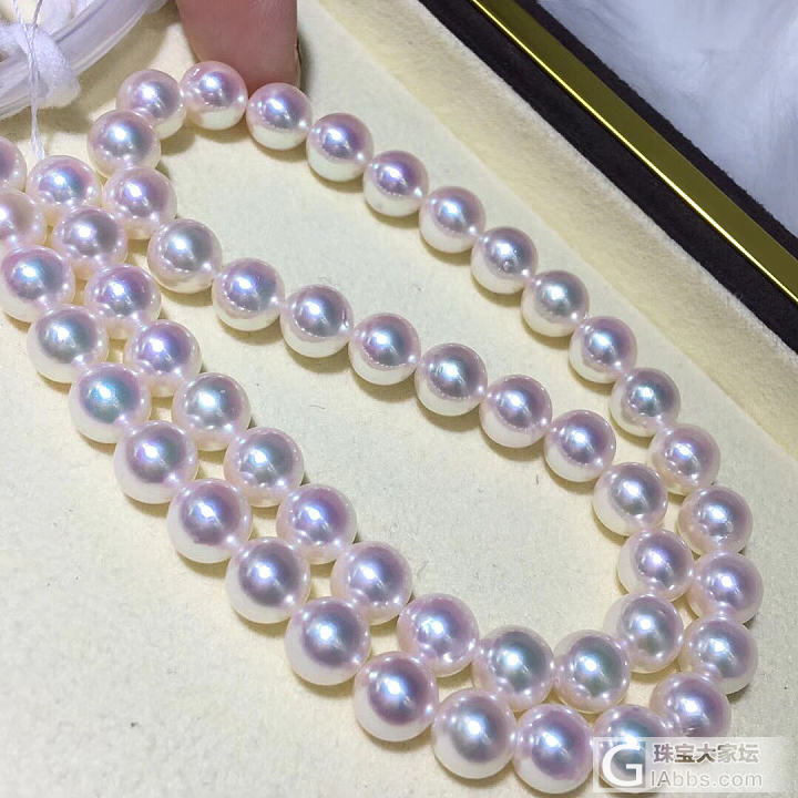 日本ak_海水珍珠珍珠