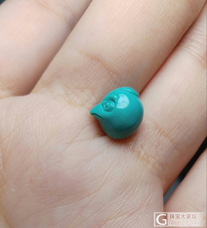 世界上最英俊的侧颜与最蠢萌的正脸～_戒面松石