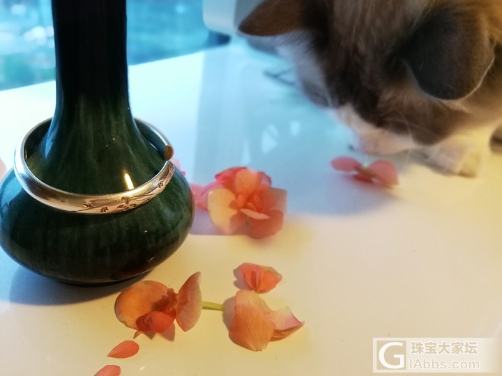 小花瓶，小花鐲_手镯猫银