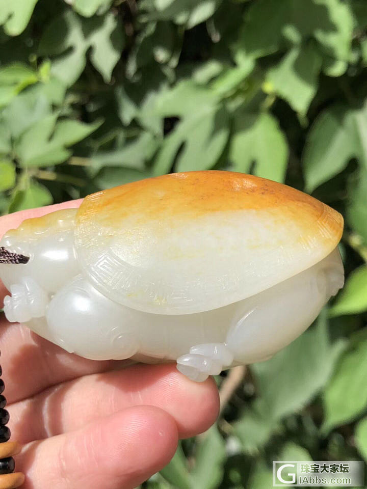 玩玉的圈子里，从来都不缺乏故事，淘到宝了，欢呼雀跃；吃了药，捶胸顿足。
一直以来..._和田玉