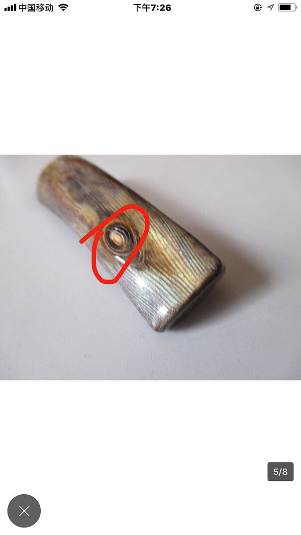 金珊瑚_珊瑚