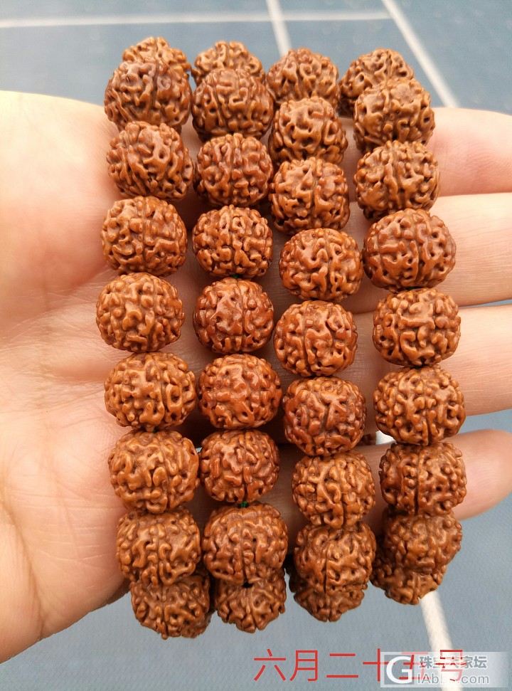 一串小金刚菩提的蜕变_珠串菩提子