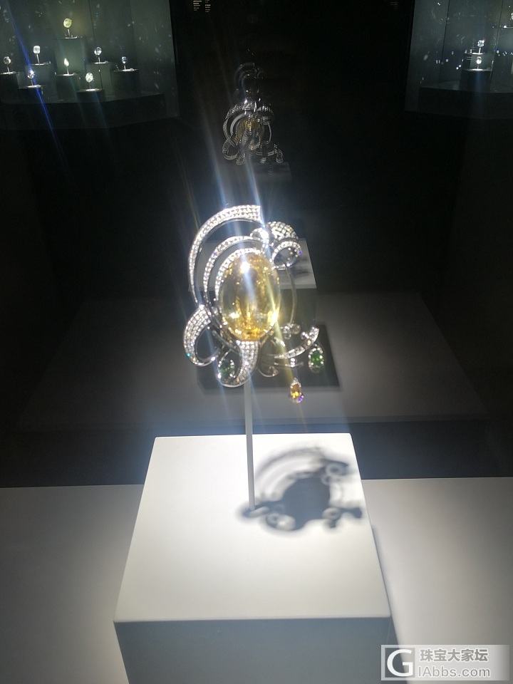国外看到的珠宝展览_展会彩色宝石