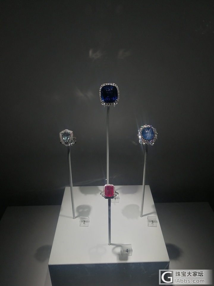 国外看到的珠宝展览_展会彩色宝石