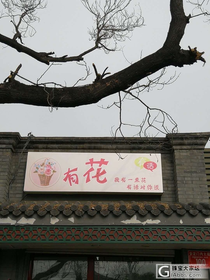 时光倒流，文化北京国子监，孔庙_北京旅游
