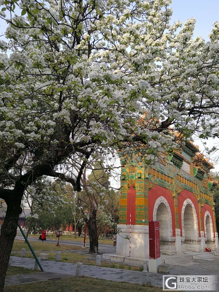 时光倒流，文化北京国子监，孔庙_北京旅游