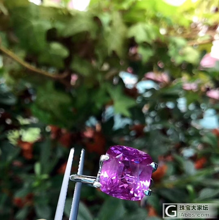 ##中颐天然未加热紫色蓝宝石##  4.59ct_刻面宝石蓝宝石