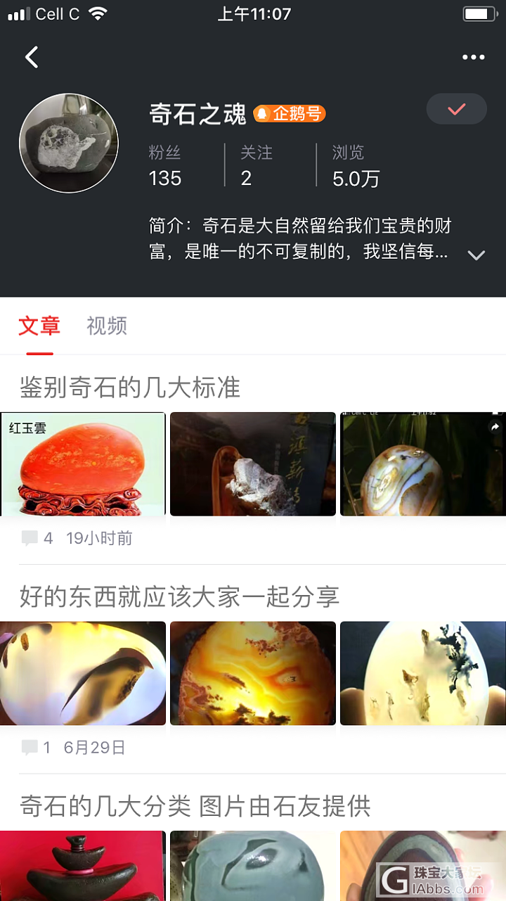 寄石分享_观赏石