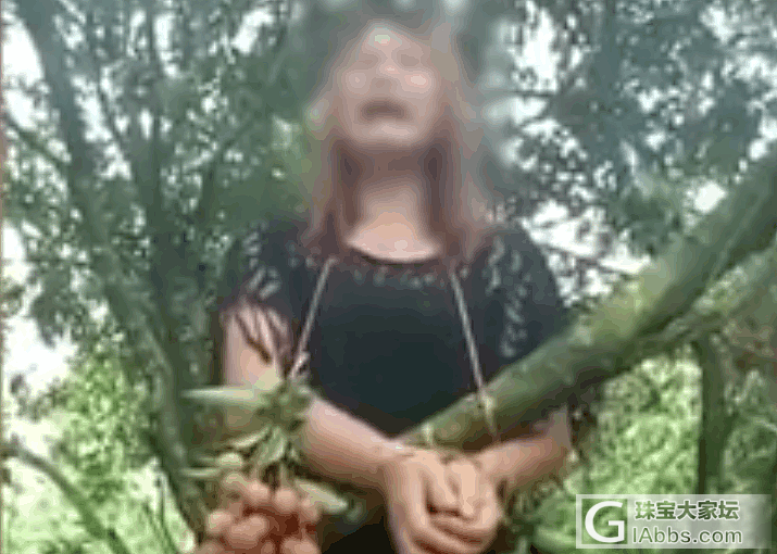 [转帖分享] 女子偷荔枝被绑树上示众，羞于见人当场嚎啕大哭_贴图新闻水果