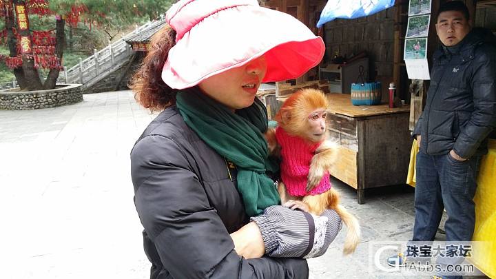 美好时光，向美食、美景出发_旅游闲聊美食