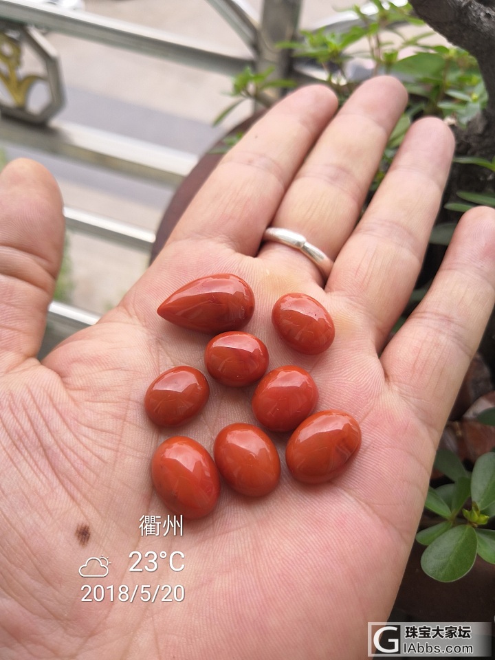 今天晒点什么呢_蛋面南红