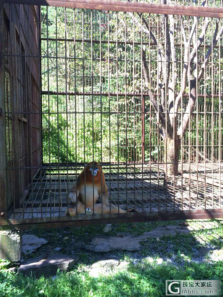 想换款手机,OPPO find x还是华为?