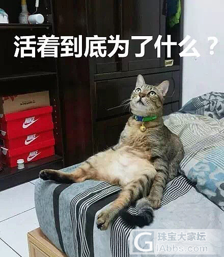 决定要叛逆一辈子了_商户