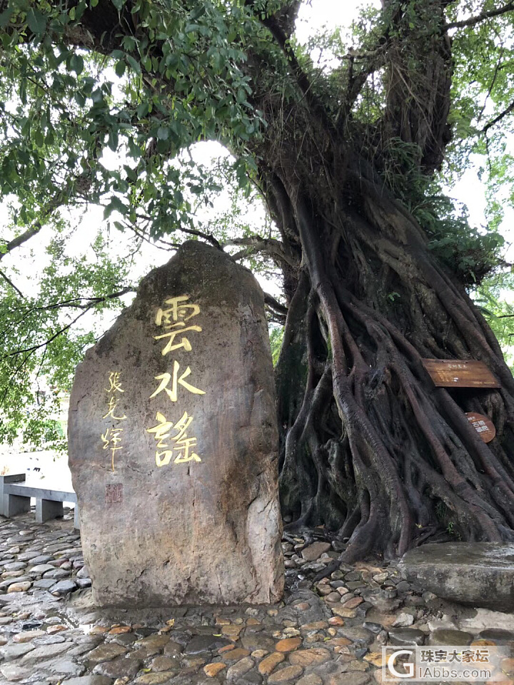 每年几次说走就走的旅～南靖土楼_品味旅游闲聊