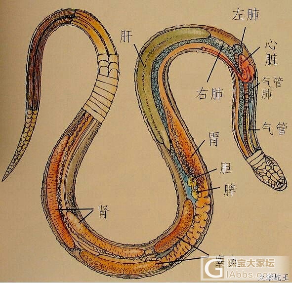 每日一晒之33_戒指手镯银