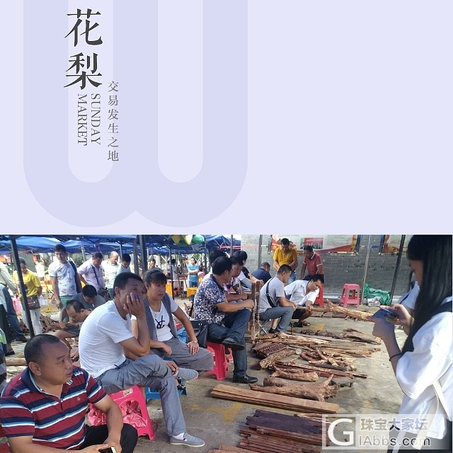 市场在哪里?--揭秘全国最大海南花梨木交易市