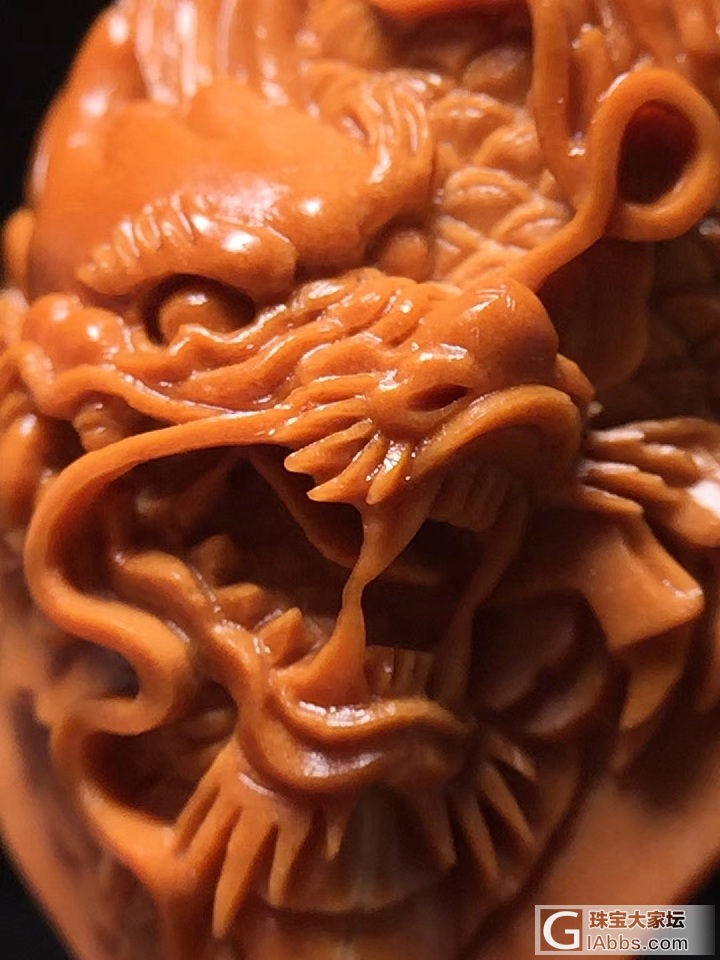 单籽大龙_雕刻橄榄核
