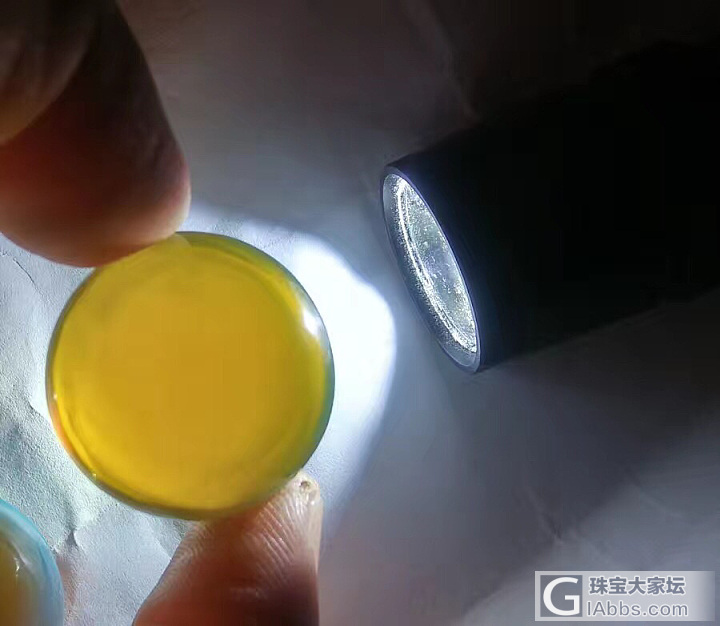 都是多米小家伙 也就才20mm-30mm_蓝珀