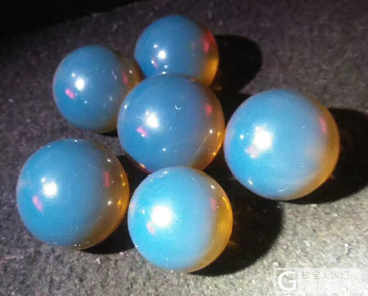 都是多米小家伙 也就才20mm-30mm_蓝珀